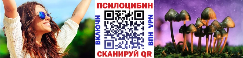 Псилоцибиновые грибы MAGIC MUSHROOMS  даркнет сайт  Кольчугино 