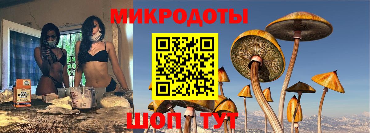 Галлюциногенные грибы GOLDEN TEACHER  Вход с VPN  Кольчугино 
